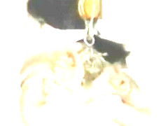 Dream bondage erotica 3