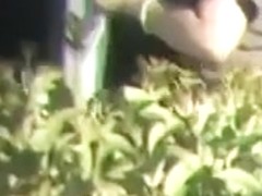 I love spying on hawt chicks with beautifully shaped butts