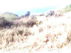 Another walk behind the beach