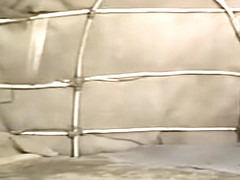 Hottest vintage sex scene from the Golden Epoch