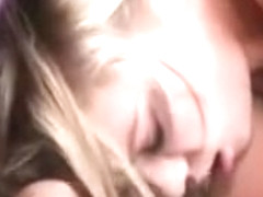 miniature honey receive boned