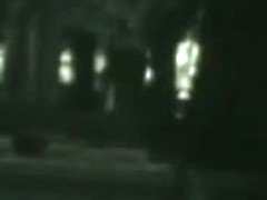 A cute couple having sex in the park voyeur video