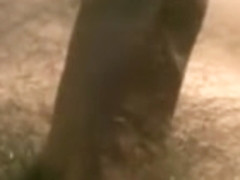 Cumming Without Touching