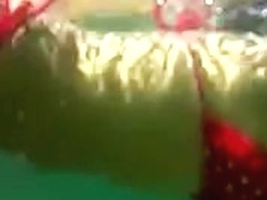 Mergulhando com a novinha