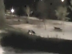 Teens caught fucking at night in a park