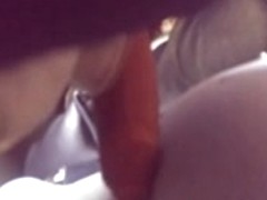 Pinto pra fora no trem