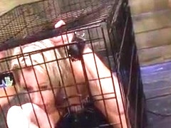 Mistress Guides Thick Strapon Into A Bondman Girls Wet Pussy