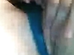 doxy immature playing with her pusse