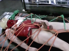 Lady Estelle Regulam Dea Part 3 Of 4