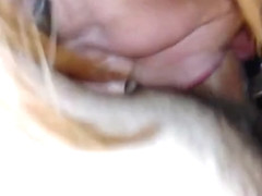 Cock Sucker Rachel pt 5