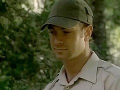 Bear Workers in the Forest