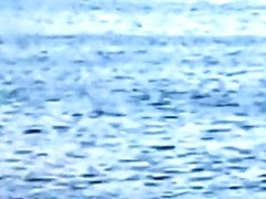 Crazy latin couple fucks in public in the sea with lots of spectators