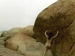 Asian Dance For Me Baby