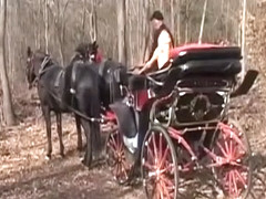 Daisie goes for a carriage ride and blows him before he pumps her