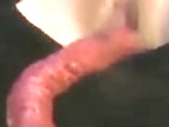 Alien Tentacles Cum On Her Pussy!