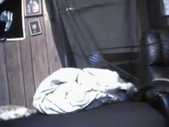 Ponytailed brunette girl gives her bf a blowjob on the bed