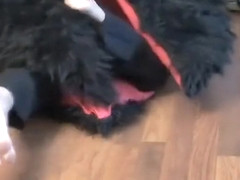 4 barefoot women get eaten