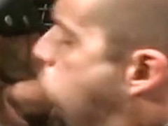 RSS - Humongous Cocks #4.avi