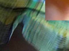 Chubby buttocks look hot in the fat ass upskirt action