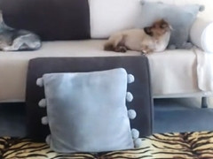 eyescrystal 2016-04-12 08:14:59