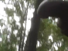 Hiking with my dick out