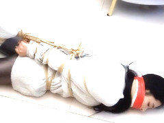 Reporters Were Arrested