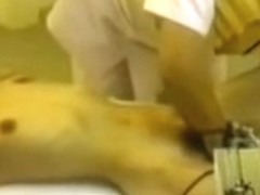 Toned Jap babe gets gingered in sexy voyeur massage clip