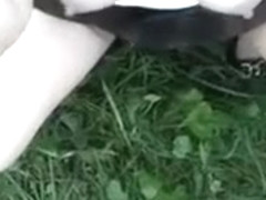 Exotic Amateur video with Big Dick, Doggy Style scenes