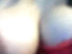 Incredible pointer sisters!