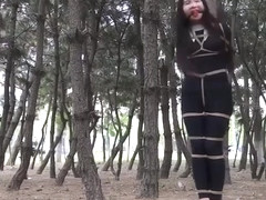 Asian Damsel Tied To A Tree