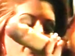 Rocco Just Can't Resist Celeste