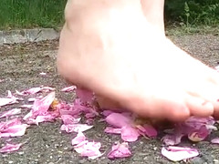 Roses twisted and crushed under barefeet