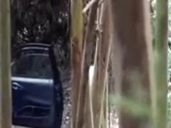 Hidden Cam - Woods 7