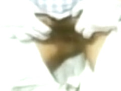 World Best Of CREAMPIE Retro, Vintage - EASTTEXASBULL