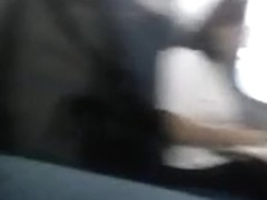 Punheta do lado da senhora lendo livro no onibus