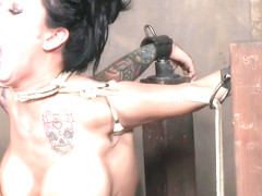 Lily Lane In Is Destroyed By A