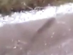 Blond Copulates In A Car