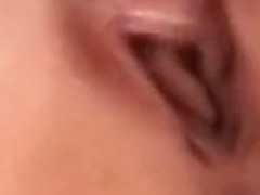 Canal Discovery ( Todo Sobre El Conejo,Jaja )