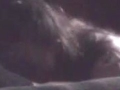 Spring Swallows sucking dick on hidden camera