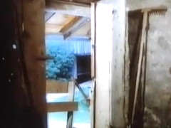 Amazing vintage porn scene from the Golden Era