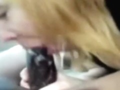 Golden-Haired chick gives a oral in the car.