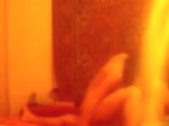 Hidden web camera juvenile pair and a curious cat