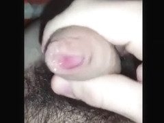 my penis pour my bed