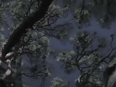 Bilitis (1977) Patti D'Arbanville, Mona Kristensen