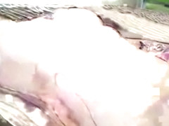 Naughty Girl With Tattoos Strips For Cam