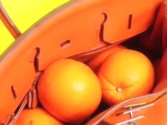 Jelena karleusa dara bubamara