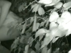 A nightcam voyeur video of a girl pissing in the bushes
