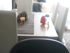 Overnight stay masturbates on couch in living room