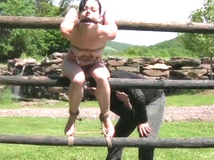 All Used Up Elise Graves