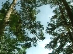 Amazing vintage xxx video from the Golden Epoch